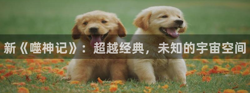 漫蛙平板下载