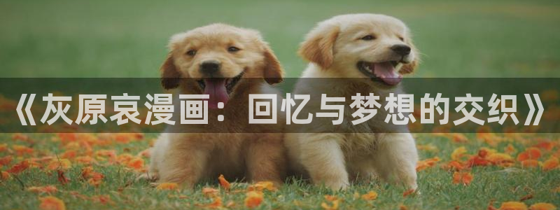 漫蛙在线看漫画免费漫画版：《灰原哀漫画：回忆与梦想的交织》