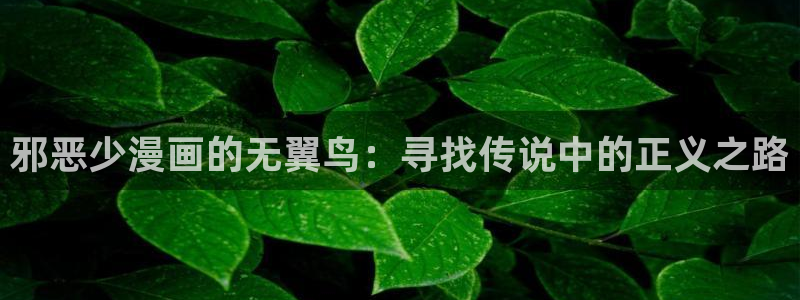 漫蛙1.1.8版本manwaa2：邪恶少漫画的无翼鸟：寻找传说中的正义之路