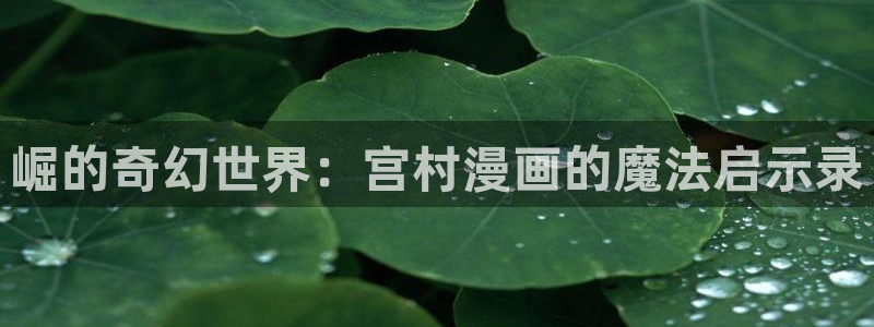 食后景漫蛙：崛的奇幻世界：宫村漫画的魔法启示录